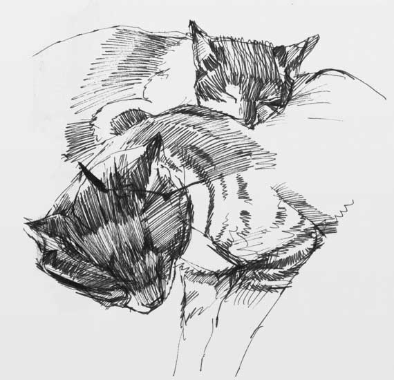 Andreas Liss - Design & Illustration - Braunschweig