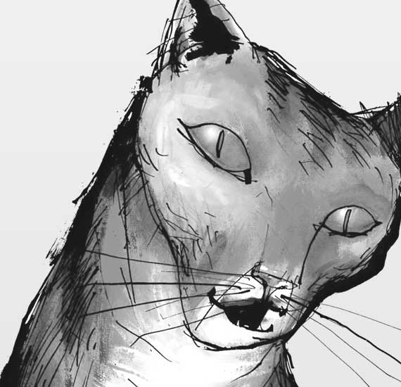 Andreas Liss - Design & Illustration - Braunschweig